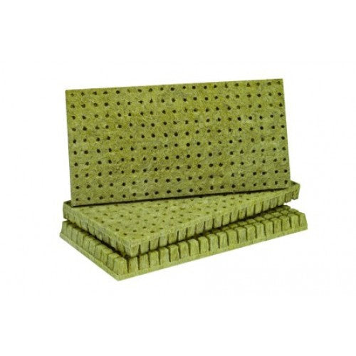 Grodan AO Plugs, Rockwool Cubes