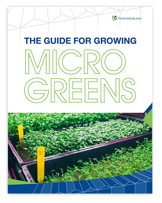 The Guide for Growing Microgreens