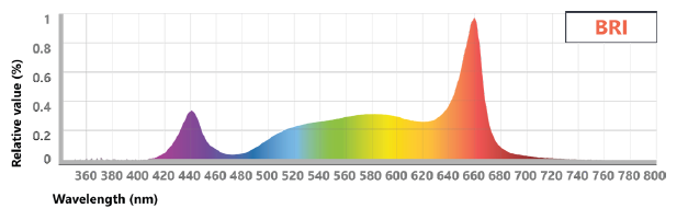 Arize® Element L1000 Next-Gen