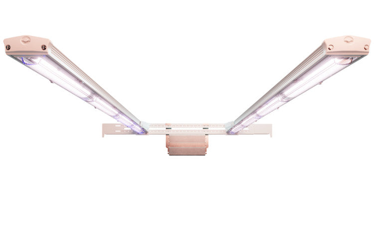 GE Current ARIZE® ML900