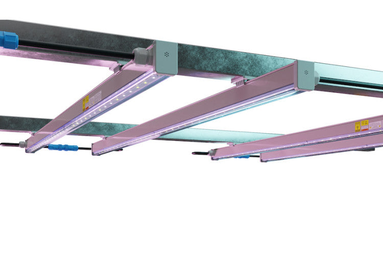 ARIZE® LYNK™