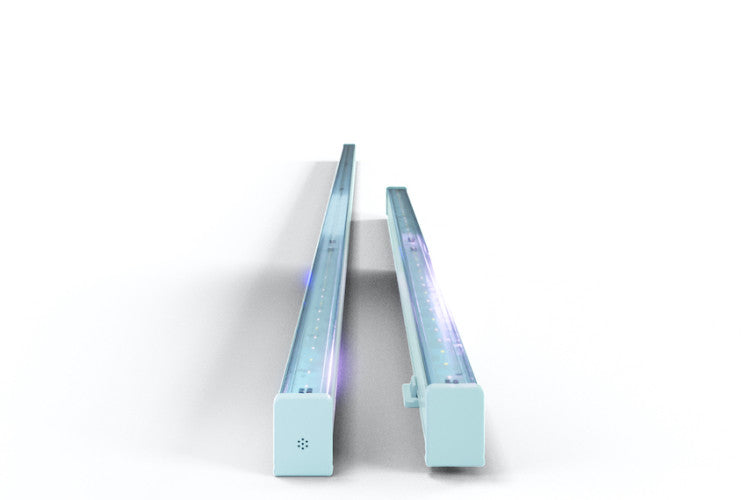 ARIZE® LYNK™