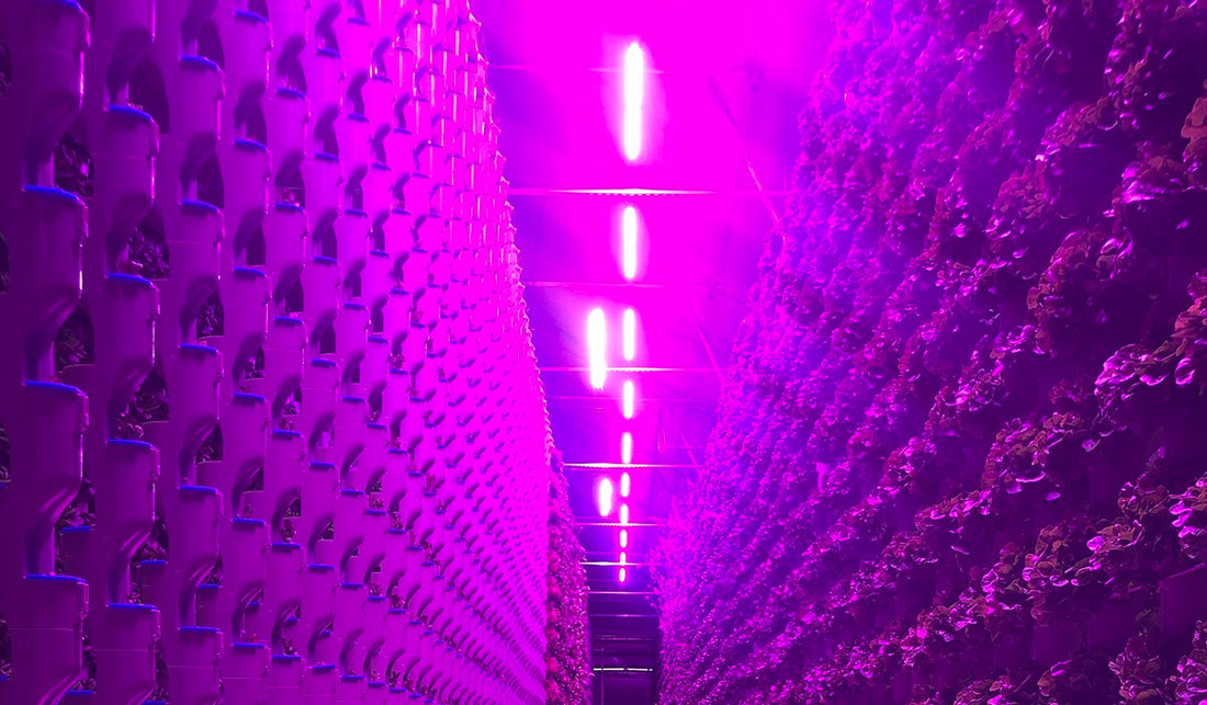 Why Does Energy Efficiency Matter When Selecting LED Grow Lights?